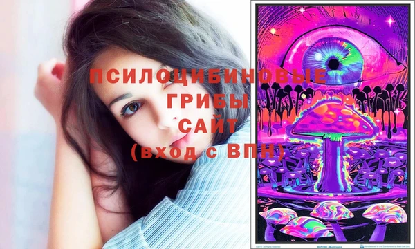 стафф Белокуриха