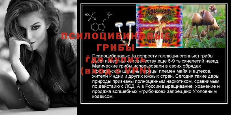 Галлюциногенные грибы MAGIC MUSHROOMS  хочу наркоту  Звенигово 